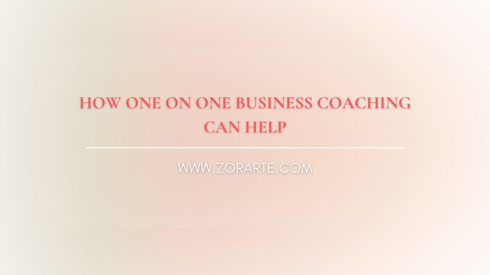 How One on One Business Coaching Can Help